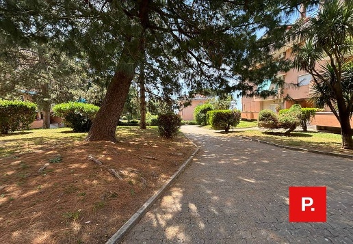 immagine annuncio 6 di 12