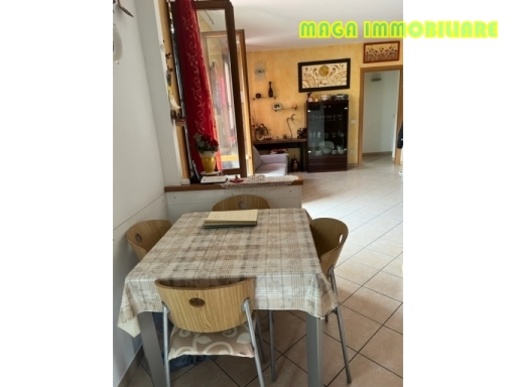 immagine annuncio 4 di 14