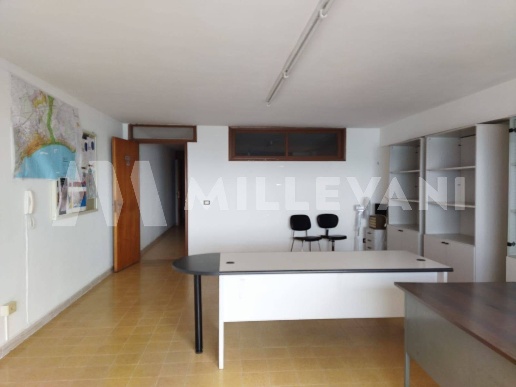 immagine annuncio 6 di 12