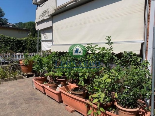 immagine annuncio 6 di 14