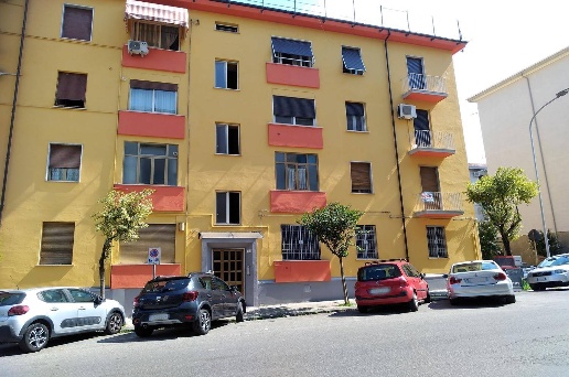immagine annuncio 12 di 14