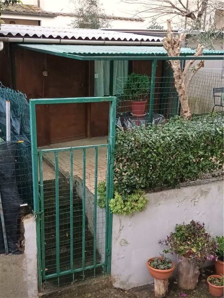 immagine annuncio 6 di 7