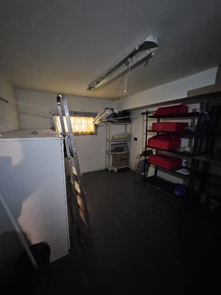 immagine annuncio 11 di 14