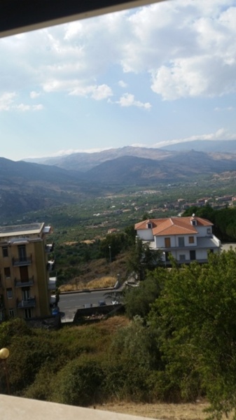 immagine annuncio 10 di 14