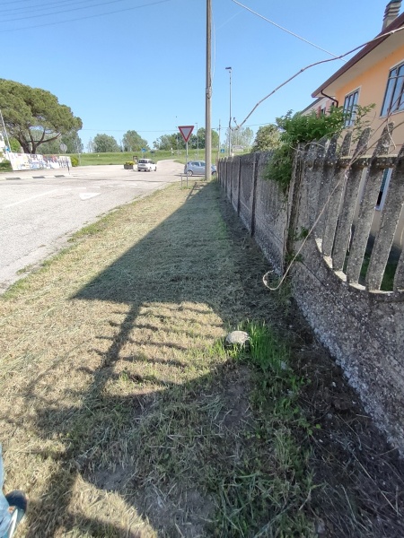 immagine annuncio 12 di 13