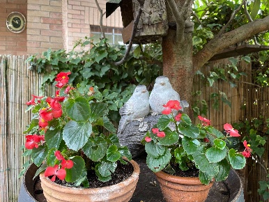 Foto Appartamento in Via Guglielmo della Valle 10, Siena di 67 m²