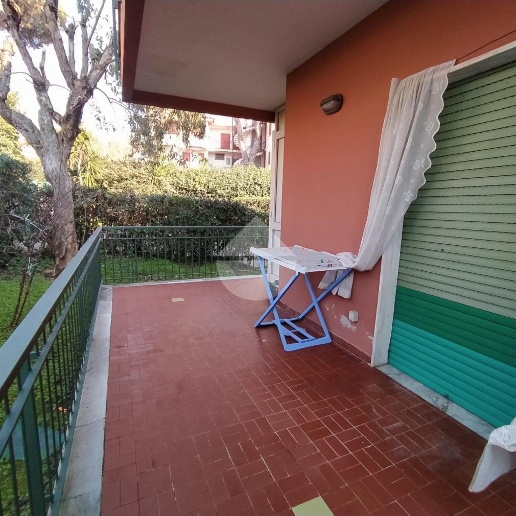 immagine annuncio 4 di 14