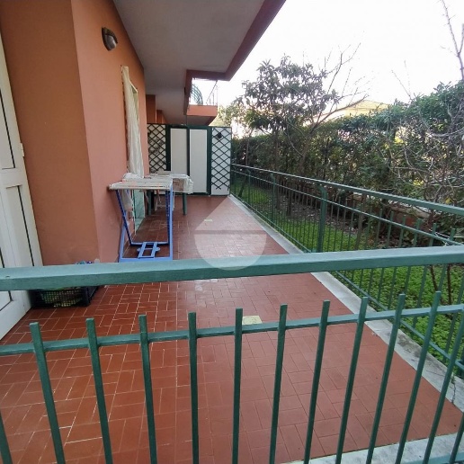 immagine annuncio 5 di 14