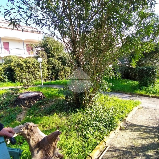 immagine annuncio 10 di 14