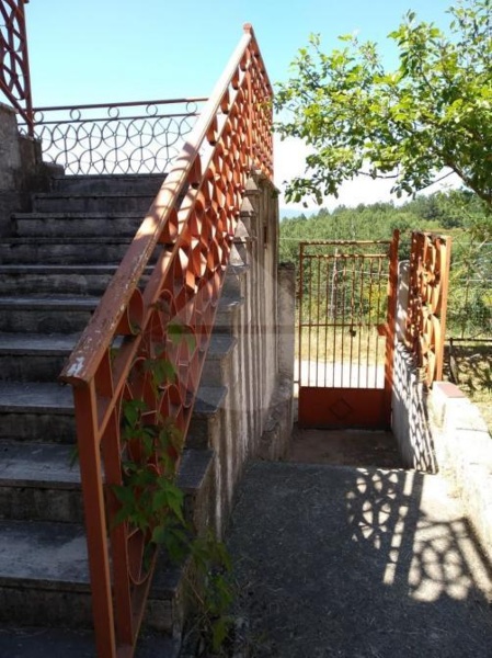 immagine annuncio 5 di 12