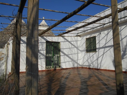 immagine annuncio 8 di 14