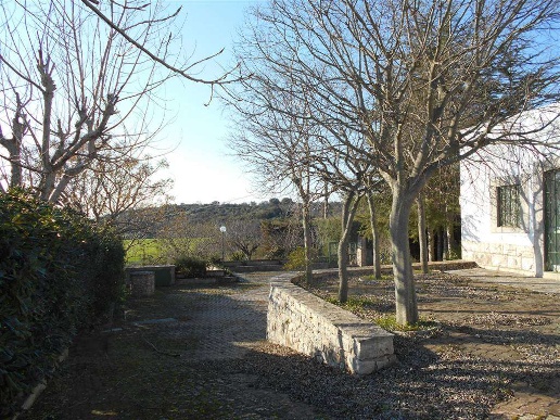 immagine annuncio 10 di 14