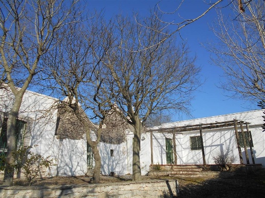 immagine annuncio 12 di 14