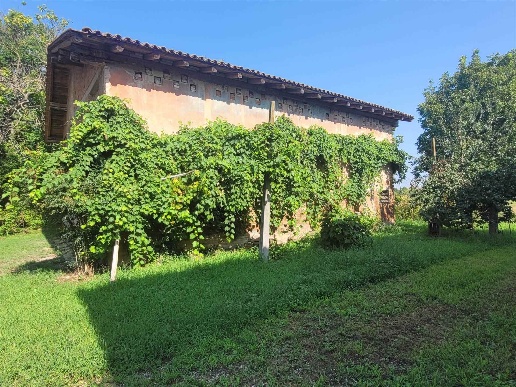 immagine annuncio 5 di 13
