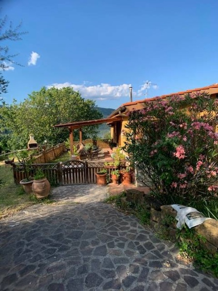 immagine annuncio 3 di 9