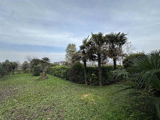 immagine annuncio 4 di 14