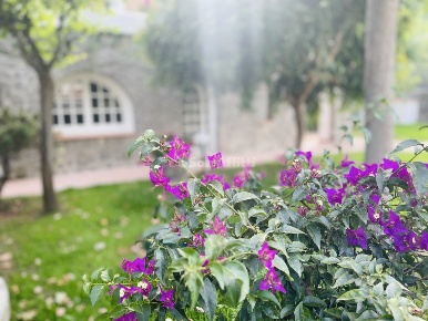 Foto Villa unifamiliare in Via dell'Amicizia 49, Ischia Centro di 300 m²