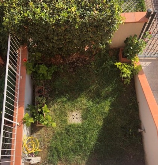 immagine annuncio 4 di 7