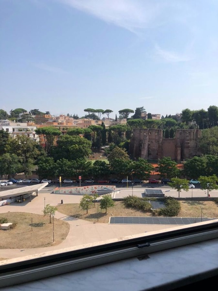 immagine annuncio 11 di 14