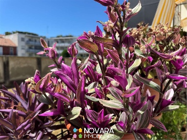 Foto Appartamento in Via Campagnoli 7, Novara San Martino di 125 m²