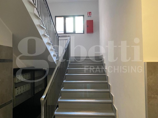 immagine annuncio 9 di 14