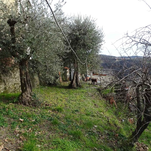 immagine annuncio 6 di 7