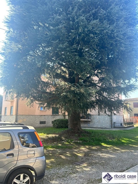 immagine annuncio 10 di 11