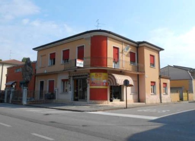 Foto Appartamento in Via San Vito Martire, Cerea Centro di 638 m²