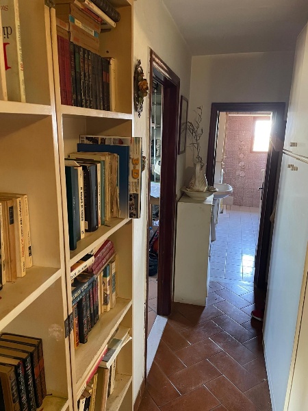 immagine annuncio 4 di 14