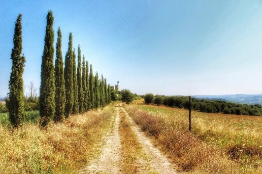 immagine annuncio 5 di 8