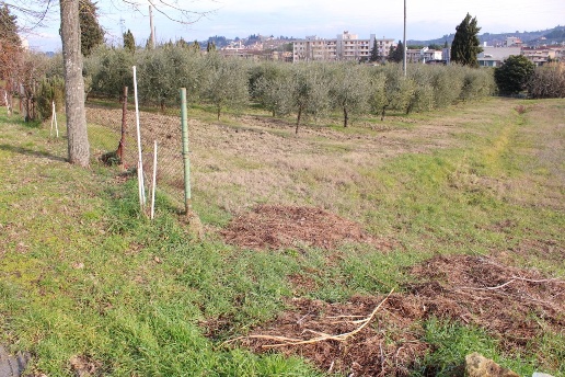 immagine annuncio 4 di 6