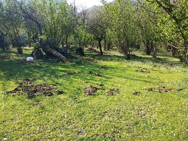 Foto Villa unifamiliare a Baronissi Caprecano di 2740 m² con 10 locali