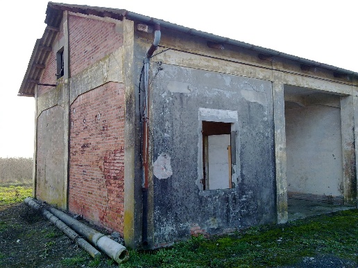 immagine annuncio 3 di 7