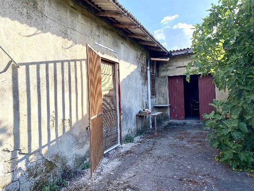 immagine annuncio 6 di 8
