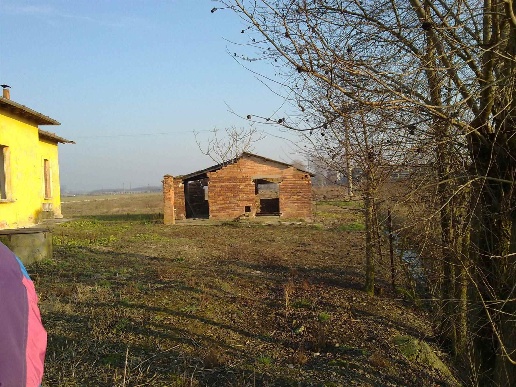 immagine annuncio 5 di 7
