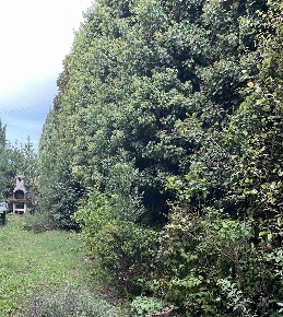 Foto Appartamento in via borromeo, San Casciano in Val di Pesa di 85 m²