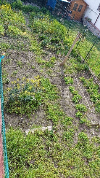 immagine annuncio 1 di 8