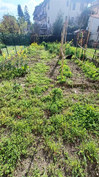 immagine annuncio 7 di 8