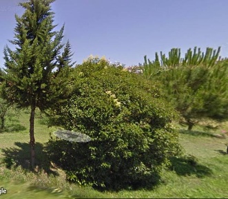 Foto Appartamento in VIA DEI CENTONI, Altopascio in vendita