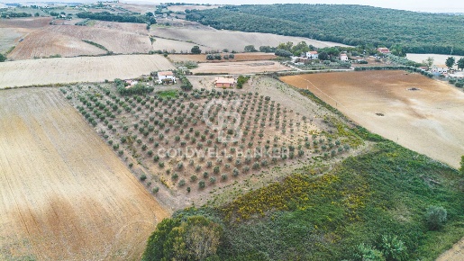 Foto Villa singola in Località Casal Nuovo, Tarquinia Campagna di 150 m²