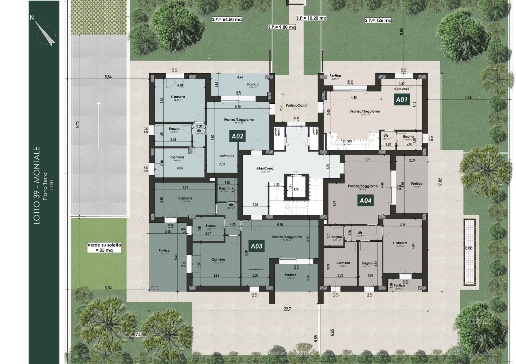 immagine annuncio 6 di 9