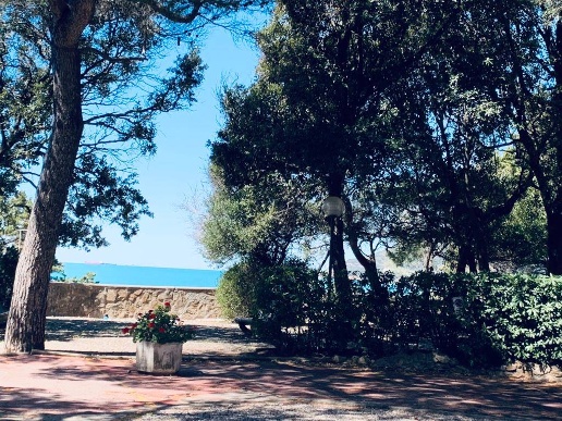 immagine annuncio 5 di 14