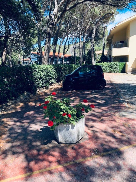 immagine annuncio 10 di 14