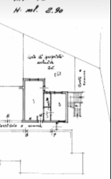 immagine annuncio 12 di 14