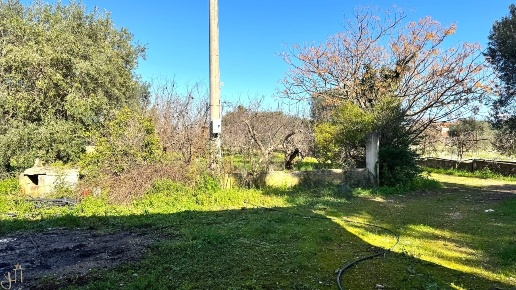 immagine annuncio 6 di 11