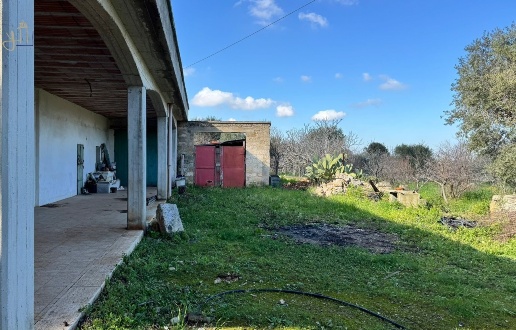 immagine annuncio 9 di 11