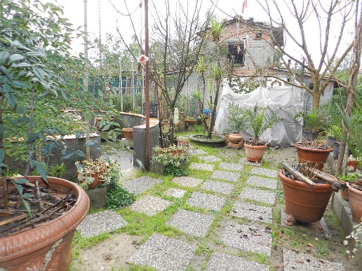 immagine annuncio 9 di 13