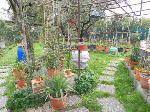 immagine annuncio 10 di 13