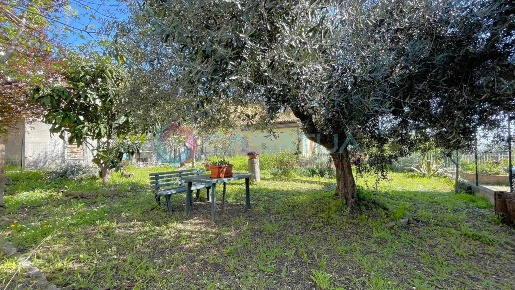 Foto Appartamento a Silvi Silvi Alta di 137 m² con 4 locali in vendita