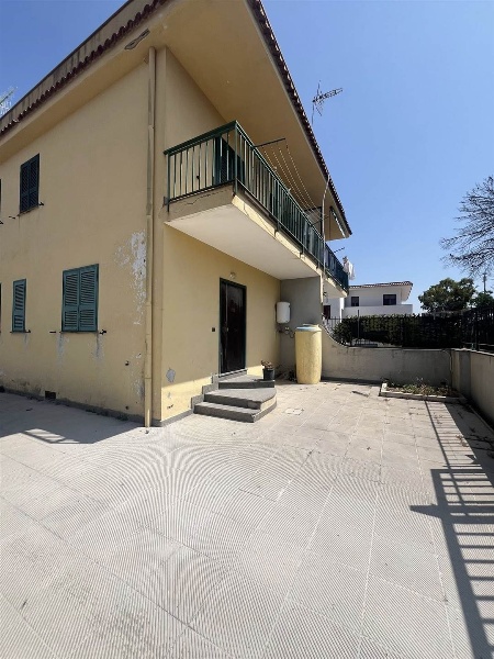 immagine annuncio 0 di 14